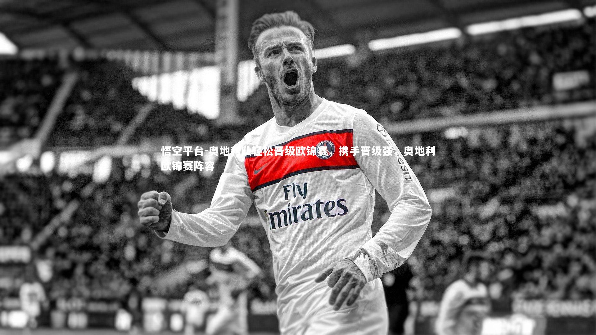 悟空平台-奥地利队轻松晋级欧锦赛，携手晋级强，奥地利欧锦赛阵容