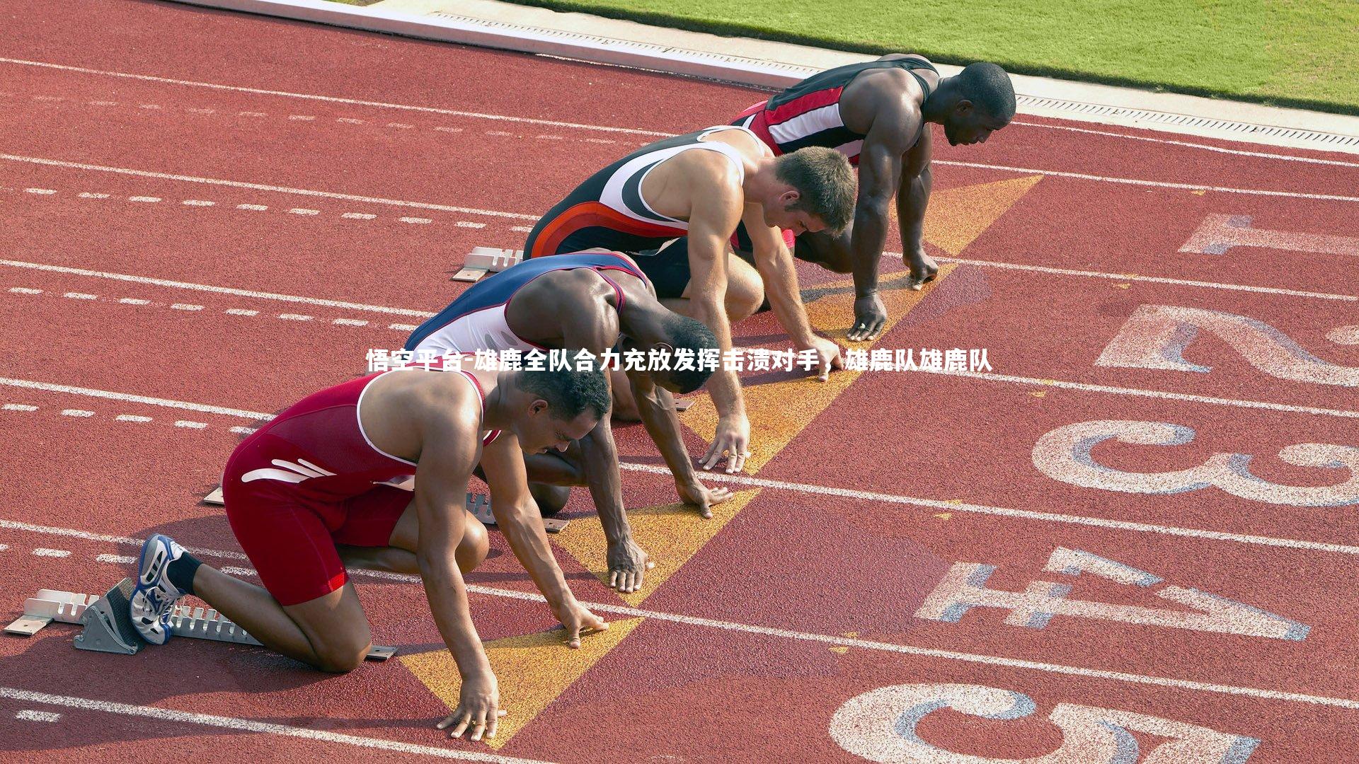 雄鹿全队合力充放发挥击溃对手，雄鹿队雄鹿队