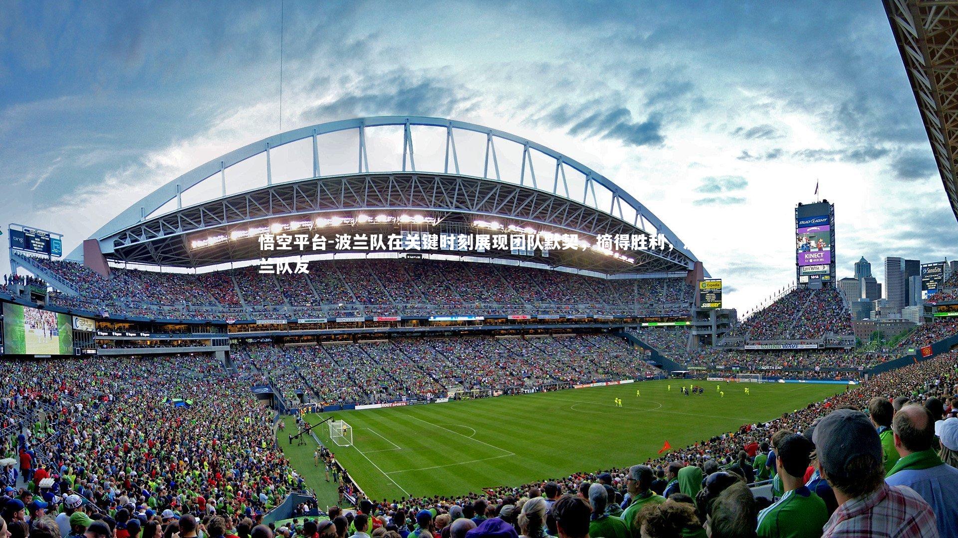 波兰队在关键时刻展现团队默契,摘得胜利,波兰队友