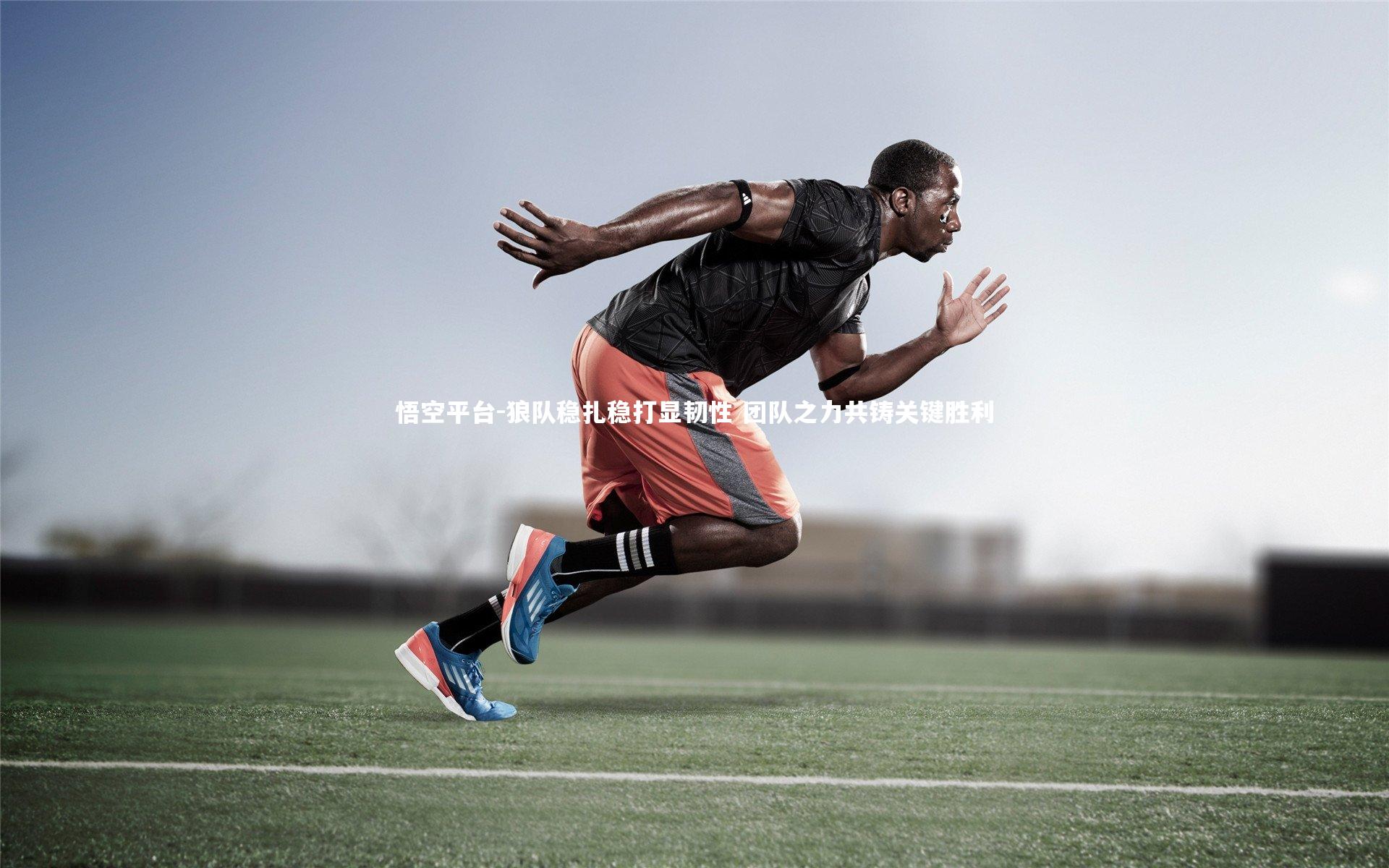 悟空平台-狼队稳扎稳打显韧性 团队之力共铸关键胜利